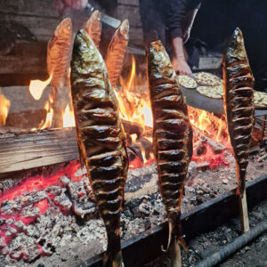 Tre fiskar halstras över glödande kol vid öppen eld.