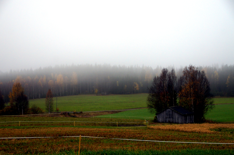 Dimming vy över fält och skog